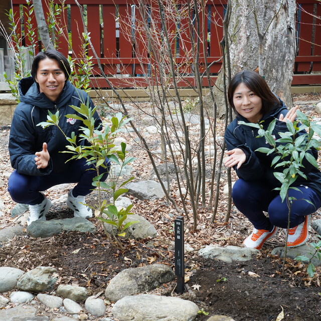 武蔵一宮氷川神社「鎮守の森100年プロジェクト」植樹実施レポート